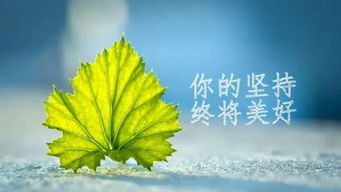 句子,能量,陽(yáng)光