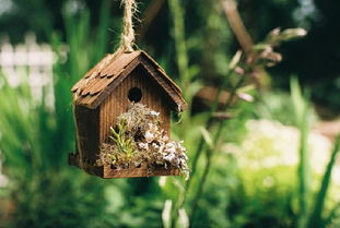 抖音正能量句子星光