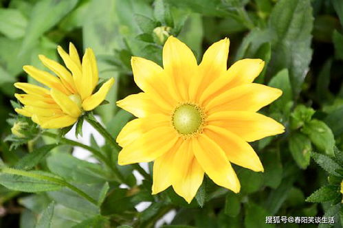 放心終身的正能量句子