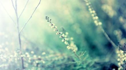 團隊充滿(mǎn)正能量的句子簡(jiǎn)短