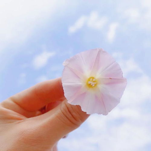 充滿(mǎn)陽(yáng)光正能量的短句子