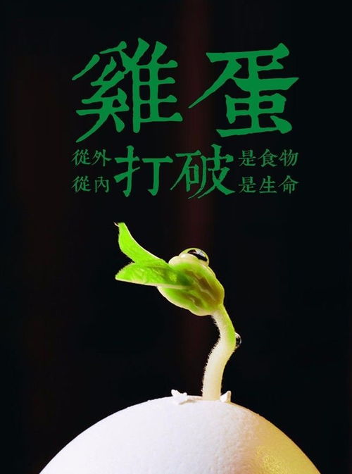 一切都會(huì )好起來(lái)正能量的句子