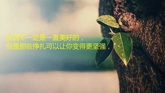 句句精辟的正能量句子人生,句句精辟的正能量句子簡(jiǎn)短,句句精辟的正能量句子短句
