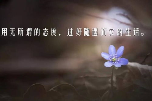 自信正能量的句子,自信陽(yáng)光正能量的句子,早安自信正能量的句子