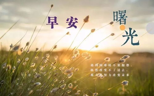 周一下班心語(yǔ)正能量句子,周一早安心語(yǔ)正能量句子,勵志奮斗正能量的句子