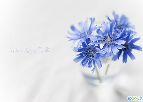 早上問(wèn)候正能量句子