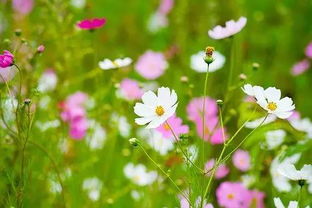 2020激勵團隊正能量的句子,晚安激勵正能量的句子,激勵每天正能量的句子