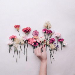 熱愛(ài)生活正能量的句子短句,熱愛(ài)生活熱愛(ài)運動(dòng)正能量的句子,熱愛(ài)生活熱愛(ài)美食正能量的句子