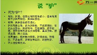 句子,能量,早會(huì )正