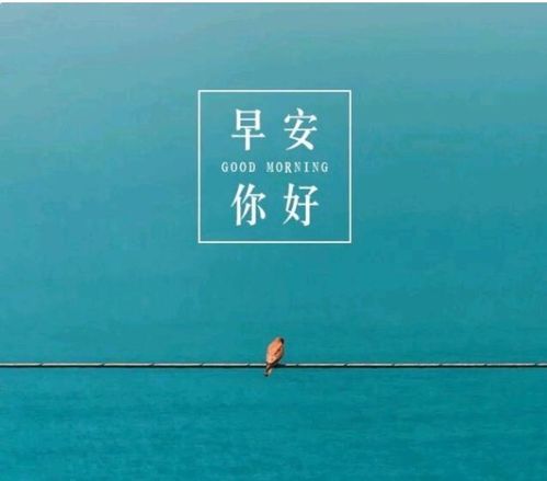 爛漫,句子,能量,開(kāi)心