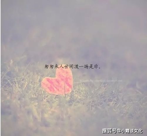 治愈系走心的句子八字,正能量走心文藝的句子,婚姻正能量走心的句子