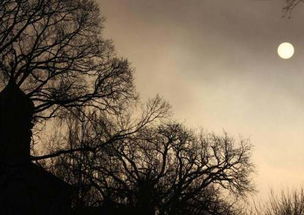 自己的,晚安,句子,能量