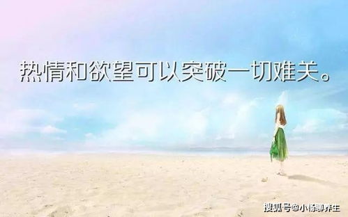 叫什么,句子,能量