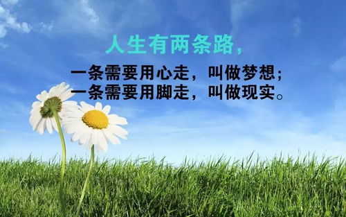 句子,勵志,語(yǔ)錄,早餐