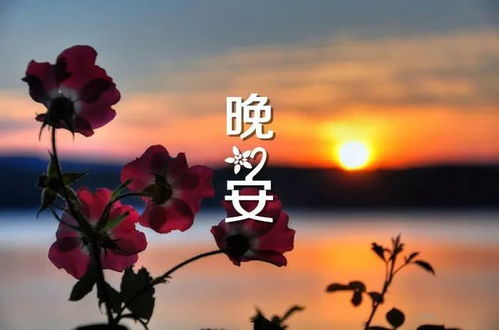 正能量晚上好的句子簡(jiǎn)短,朋友圈晚上好正能量的句子,晚上好勵志正能量句子