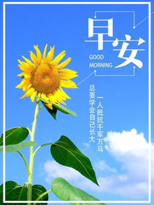 早安的句子正能量朋友圈