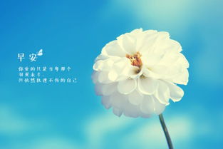 早安幽默正能量的句子說(shuō)說(shuō)心情,早安正能量的句子說(shuō)說(shuō)2021年,霸氣正能量的早安說(shuō)說(shuō)句子