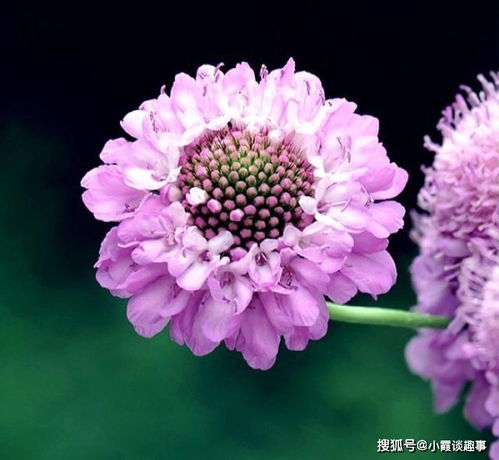 積極向上的句子人生正能量青春陽(yáng)光