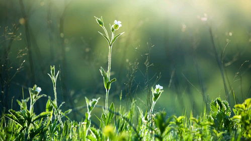 適合女人的正能量句子,適合分享的正能量句子,適合早上發(fā)的正能量的句子