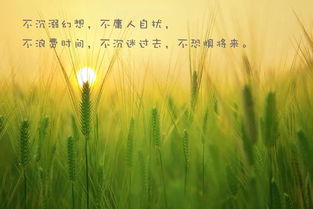 勵志的句子正能量致自己,正能量句子勵志短句子朋友圈,正能量句子勵志短句子心靈雞湯