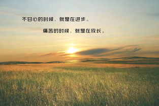 簡(jiǎn)短,句子,勵志,能量