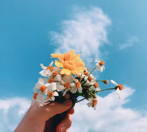 陽(yáng)光睿智努力的正能量句子,關(guān)于堅持的正能量句子,懂得感恩的正能量句子