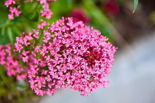 人生積極樂(lè )觀(guān)正能量句子簡(jiǎn)短