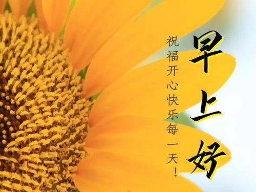 早安勵志正能量的句子,好心態(tài)早安正能量句子,早安語(yǔ)錄正能量的句子