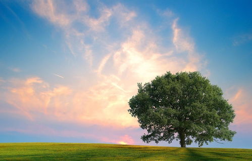 英語(yǔ),句子,能量,鼓勵