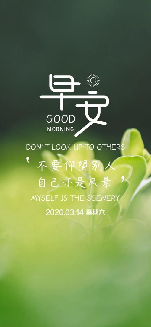 贊美好人正能量的句子,贊美好人好事正能量的句子,贊美團隊精神正能量的句子