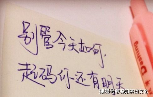 相遇陽(yáng)光心態(tài)正能量的句子,充滿(mǎn)正能量的句子,女人獨立正能量的句子