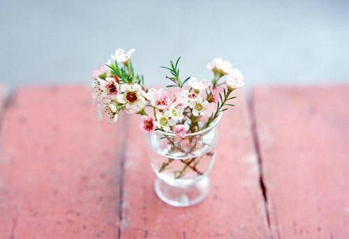 女人開(kāi)心幽默正能量的句子,女人開(kāi)心活著(zhù)的正能量句子,開(kāi)心幽默正能量的句子