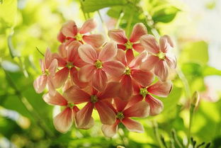 人生積極樂(lè )觀(guān)正能量句子名人,積極樂(lè )觀(guān)正能量的句子,女人積極樂(lè )觀(guān)正能量的句子