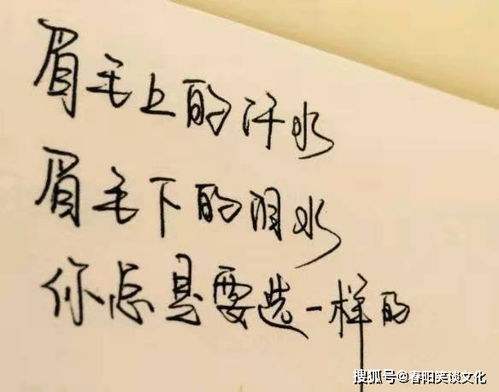 自己的,短句,短語(yǔ),子說(shuō)