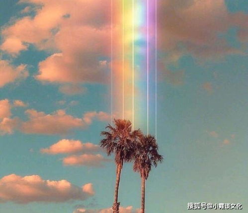 關(guān)于重生正能量的句子