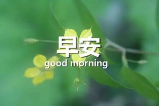 早安,句話(huà),句子,能量