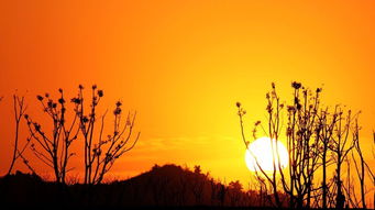 關(guān)于夕陽(yáng)正能量的句子,描寫(xiě)正能量的優(yōu)美句子,描寫(xiě)老同志正能量的句子