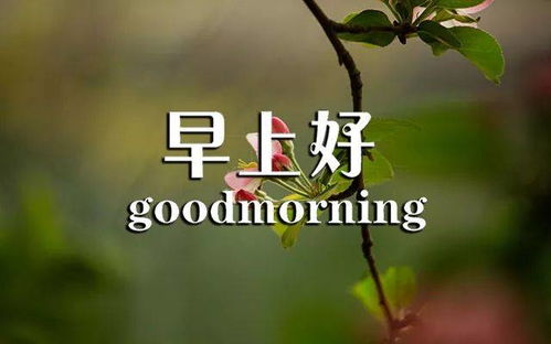 早上學(xué)習正能量的句子