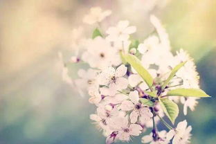 運動(dòng)唯美正能量句子,唯美簡(jiǎn)短正能量句子,早上唯美正能量的句子