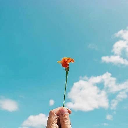 積極向上正能量的句子勵志語(yǔ)錄短句,積極向上正能量的短句子勵志語(yǔ)錄,積極向上正能量的句子勵志語(yǔ)錄8字