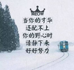 一句話(huà)分享正能量的句子