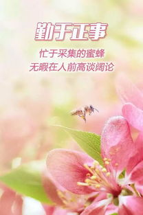 早安正能量勵志唯美句子,早安朋友圈正能量的唯美句子,早安說(shuō)說(shuō)正能量簡(jiǎn)短唯美句子