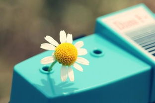 關(guān)于工作的正能量的句子_手機版