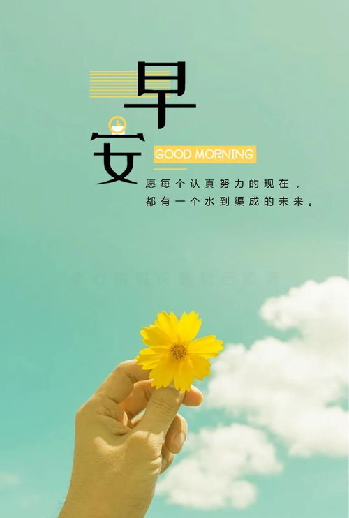 短語(yǔ),句子,唯美,能量