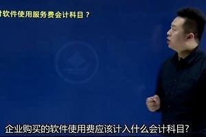 購買(mǎi)軟件費用應進(jìn)那個(gè)會(huì )計科目