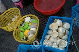 食堂餐具計什么會(huì )計科目