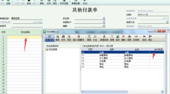 的錢(qián),支付寶,會(huì )計科目