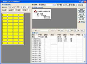 口取紙上怎么打印會(huì )計科目