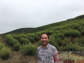 公司組織員工團建會(huì )計科目