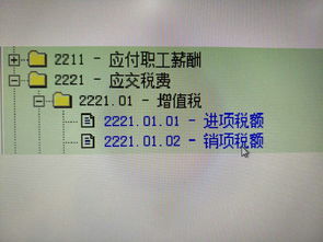 金蝶會(huì )計科目怎么設置三級科目
